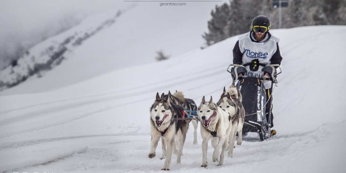 Les balades en traîneau à chiens en Italie