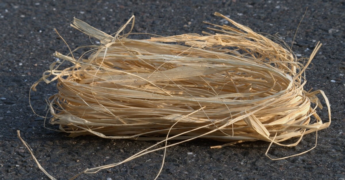 fibre di rafia naturale