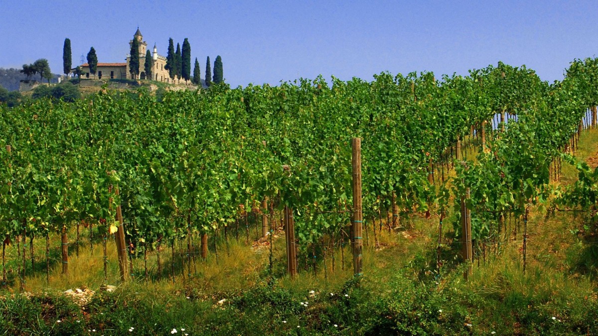 strada del vino franciacorta