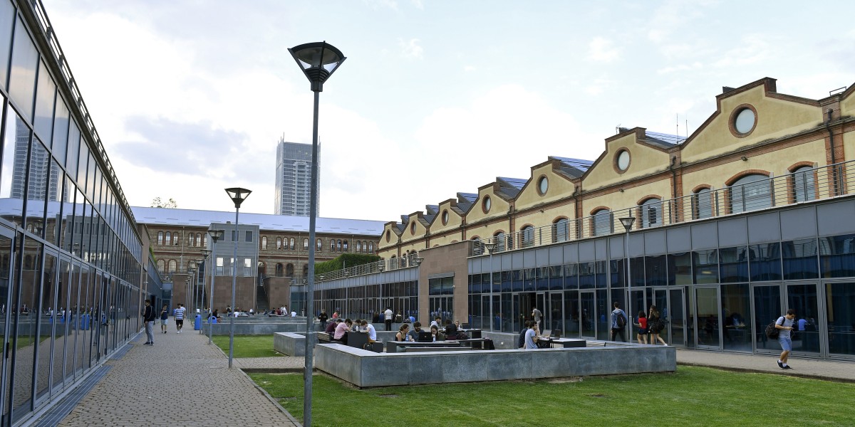 zona universitaria torino