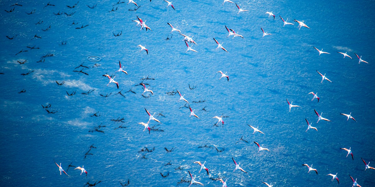 quali sono le saline più grandi d'Europa