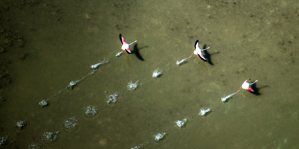 quali sono le saline più grandi d'Europa