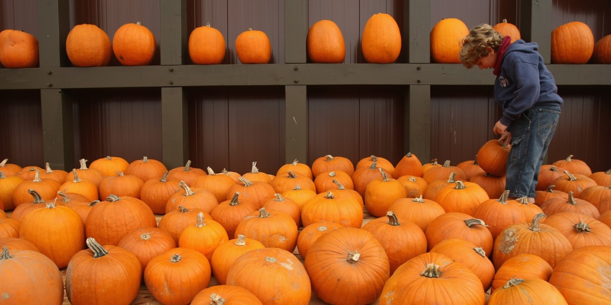 come si fa la zucca di halloween