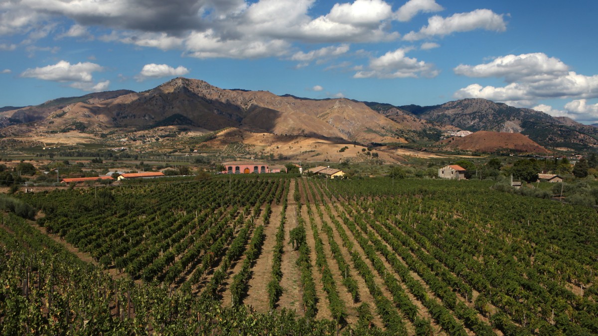Route des vins de l'Etna