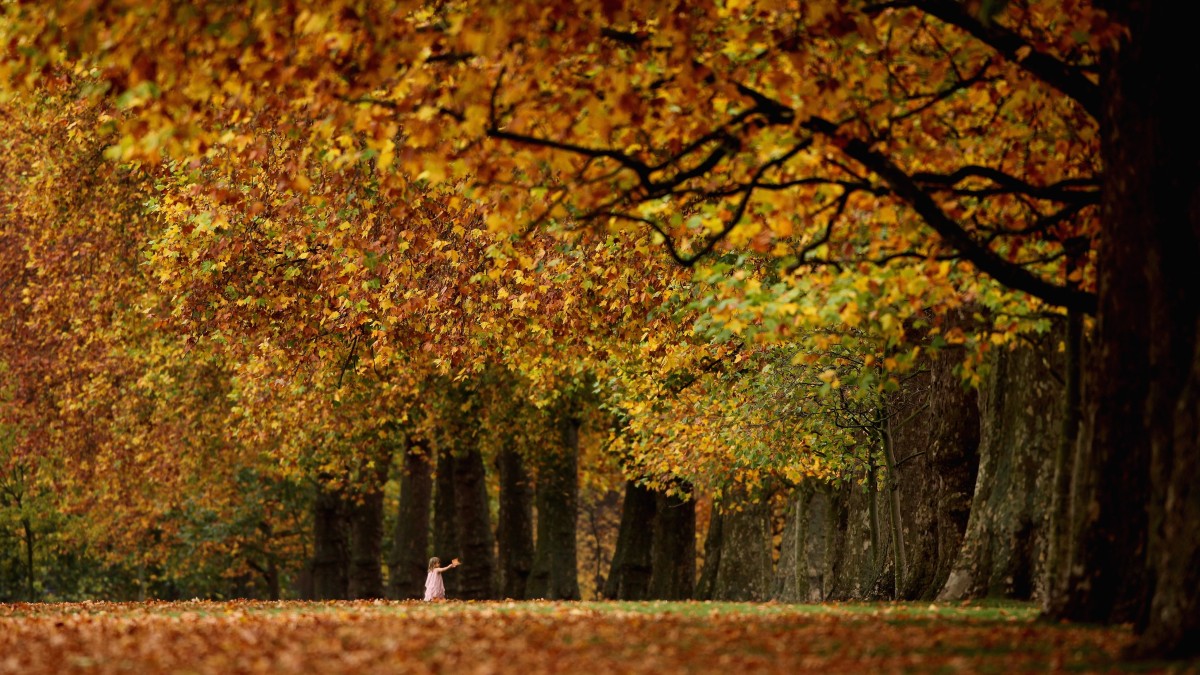 dove vedere il foliage in Piemonte