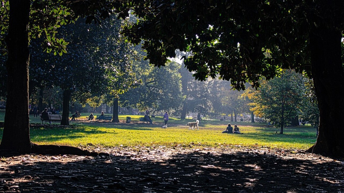 cosa vedere vicino milano centrale