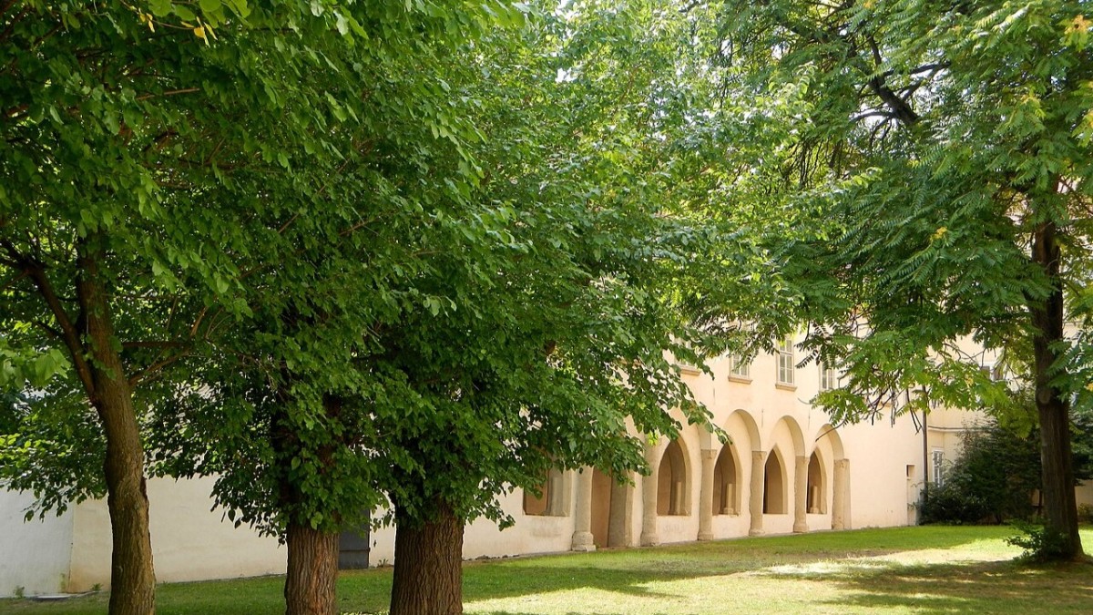 quando potare il gelso