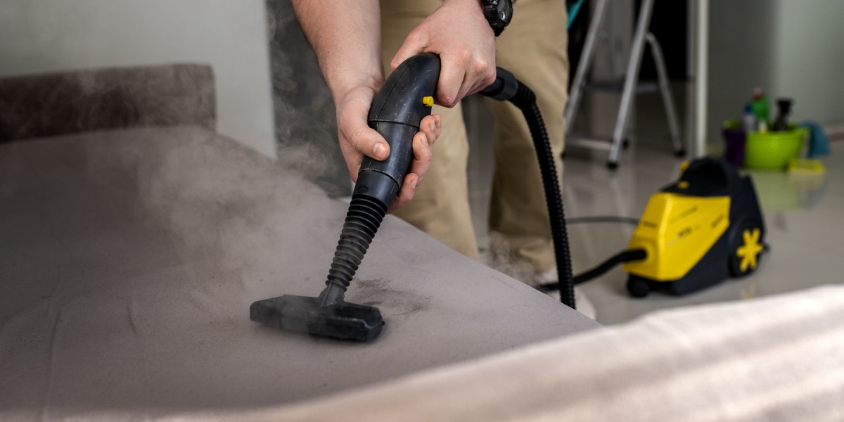 perchè le cimici entrano in casa 