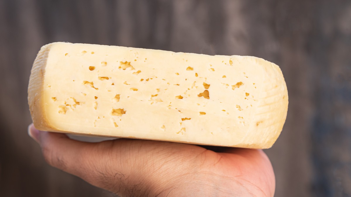 formaggi tipici marchigiani