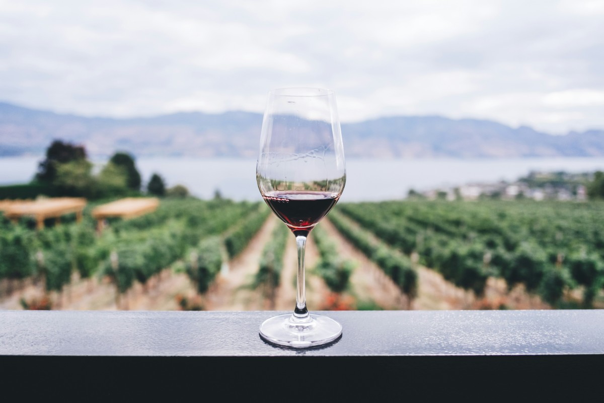 Vin italien parfait pour accompagner vos repas italiens