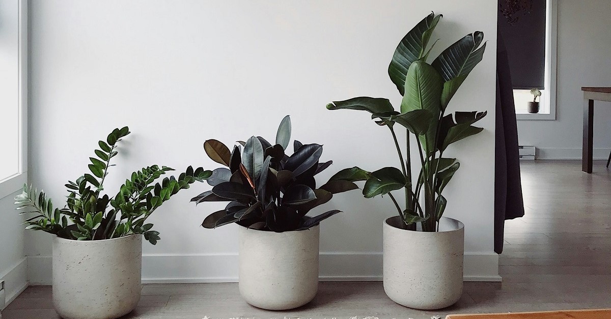 Il riscaldamento a battiscopa libera le pareti dai radiatori, consentendo di personalizzarle al meglio