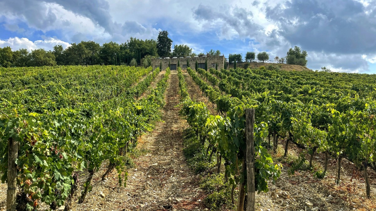 Vin italien parfait pour accompagner vos repas italiens