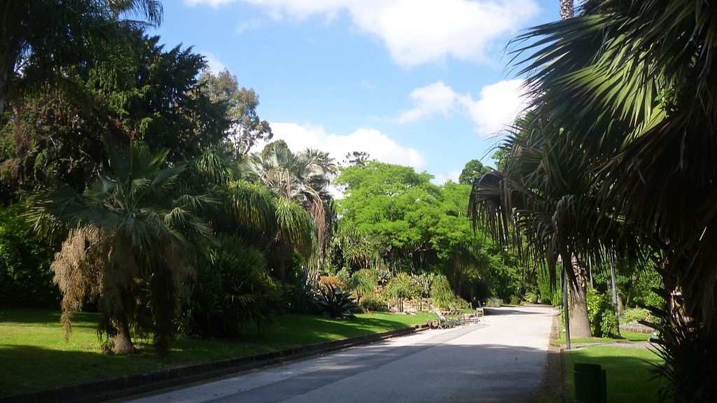 cosa vedere vicino alla stazione di napoli