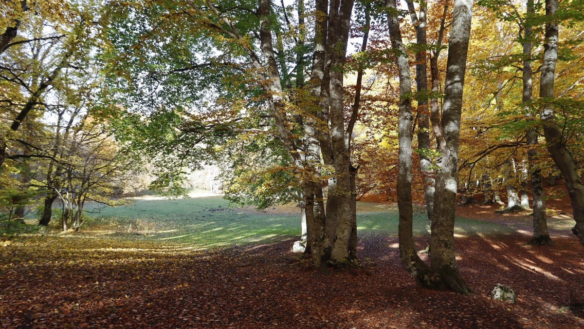 dove vedere il foliage in abruzzo