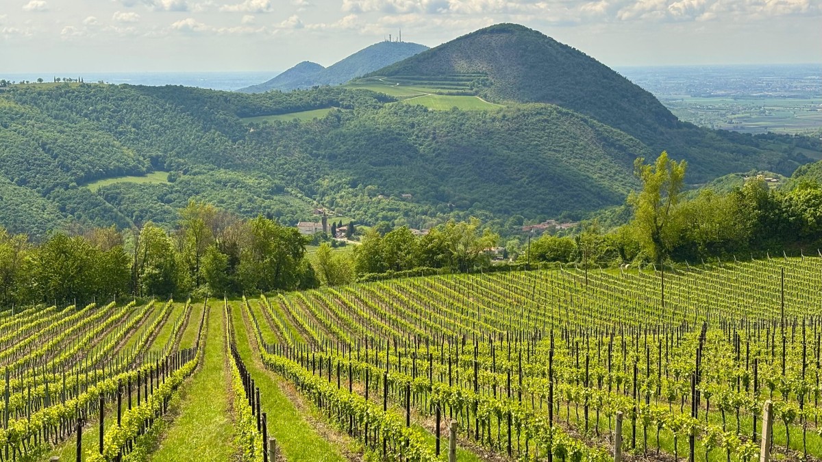 cosa vedere ai colli euganei