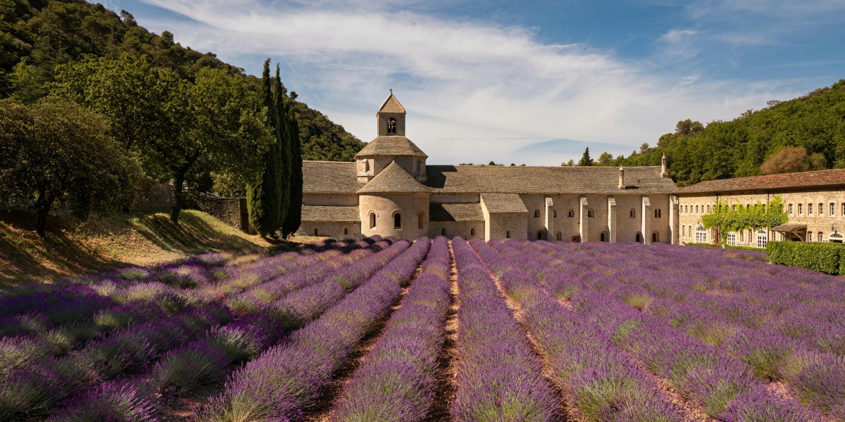 dove vive George Clooney