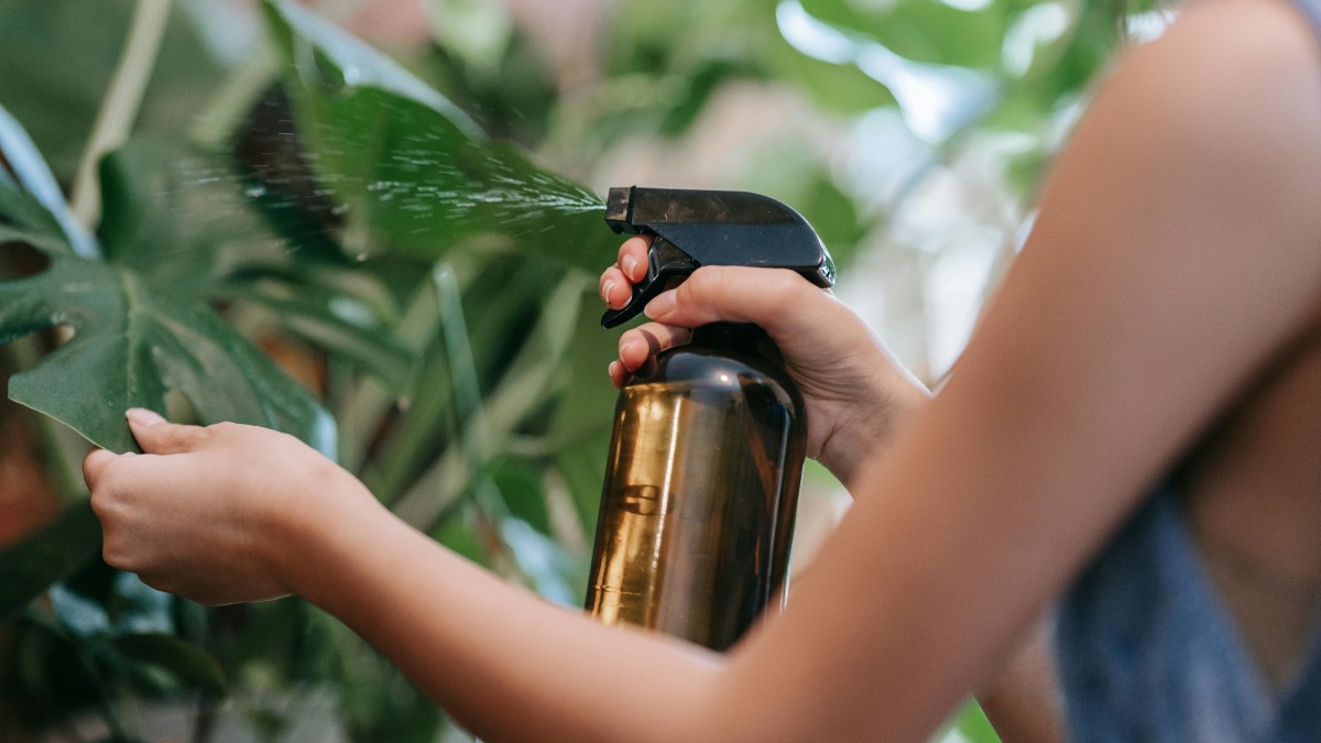 peperoncino insetticida