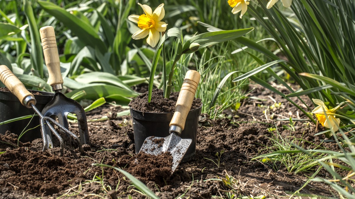 trappole cromotropiche