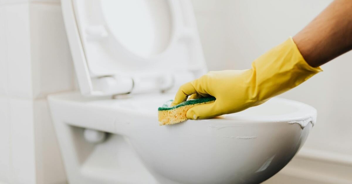 pulizia water wc