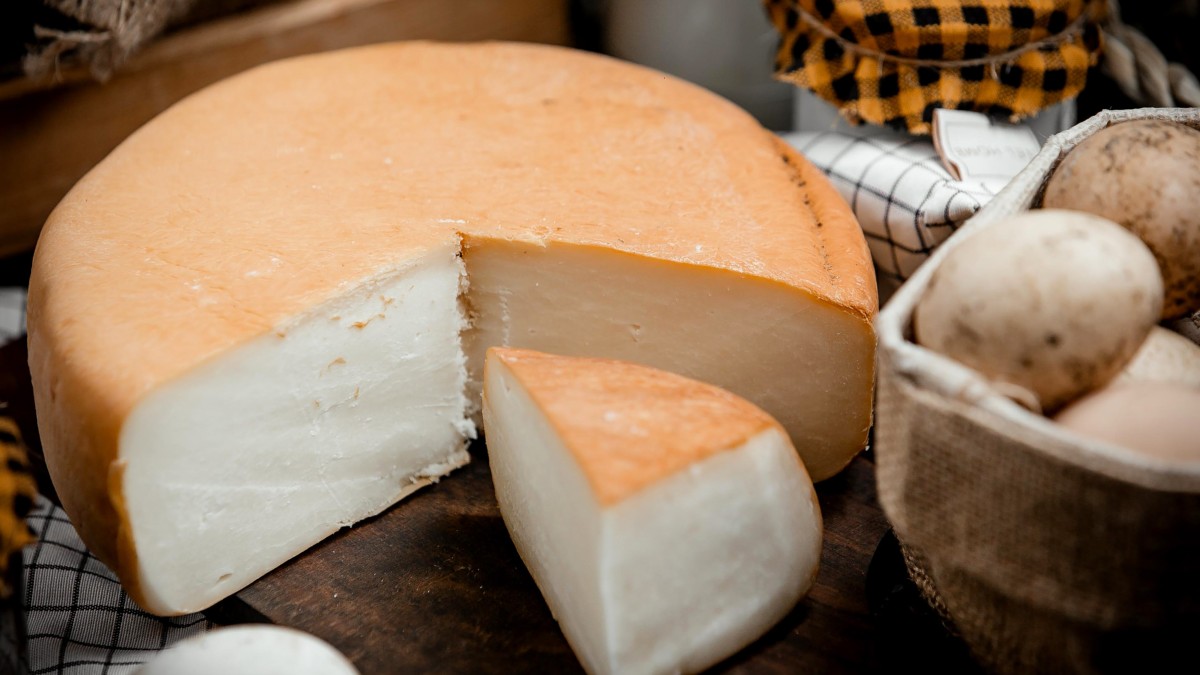 formaggi tipici marchigiani