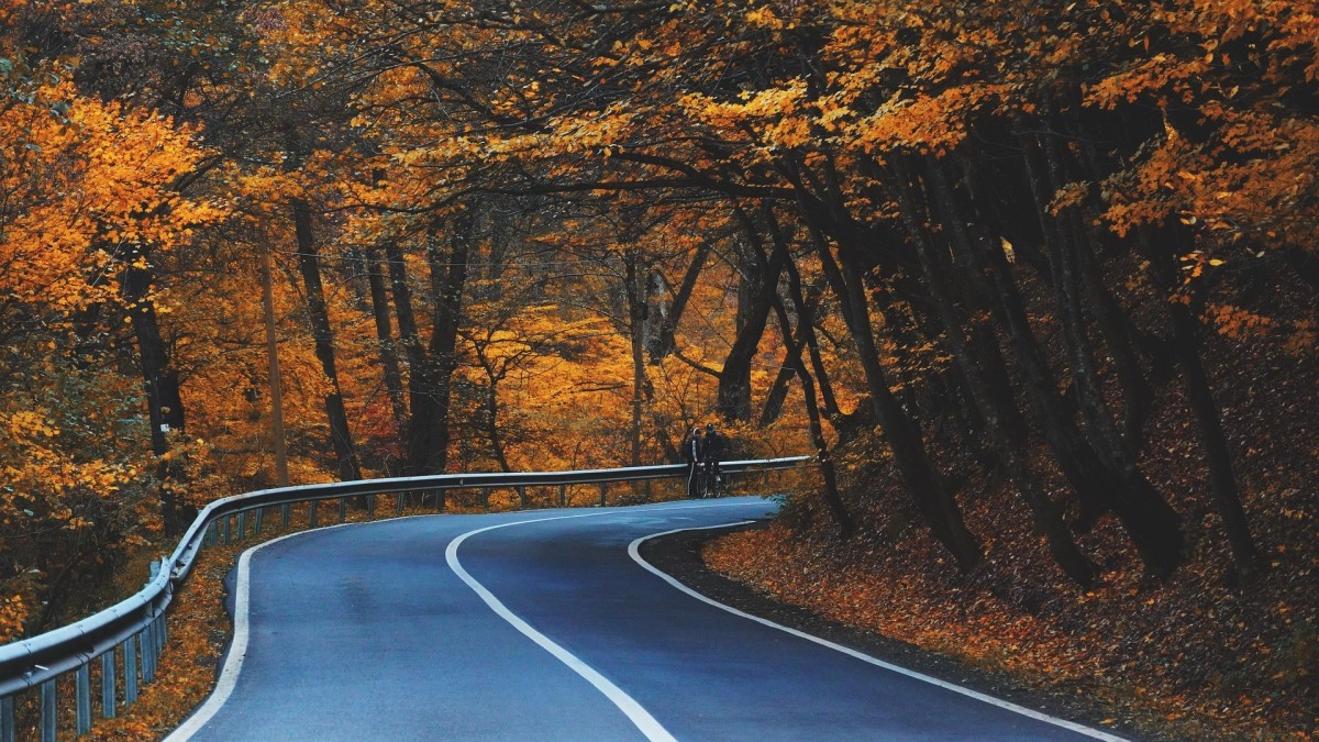 dove vedere il foliage in veneto