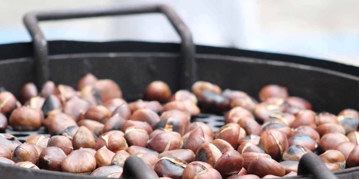 bacco nelle gnostre 2025 