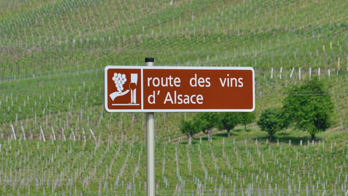 strada del vino d'alsazia