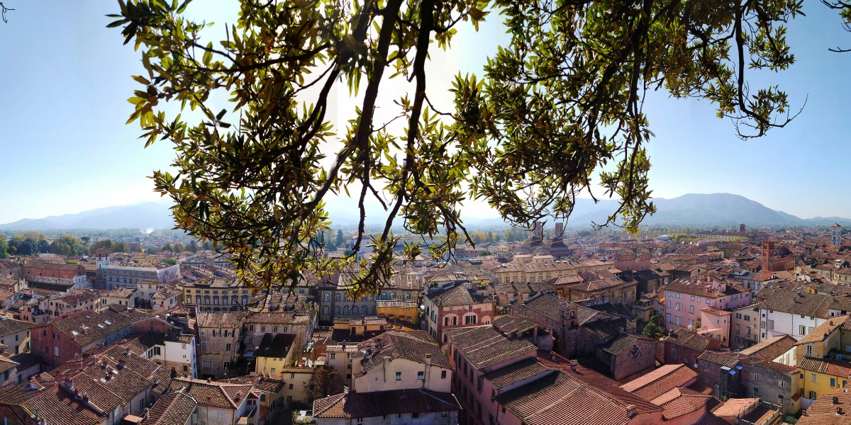 Things to do in Lucca