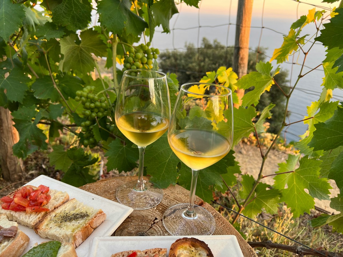 Vin italien parfait pour accompagner vos repas italiens