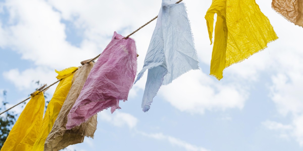 perchè le cimici entrano in casa 