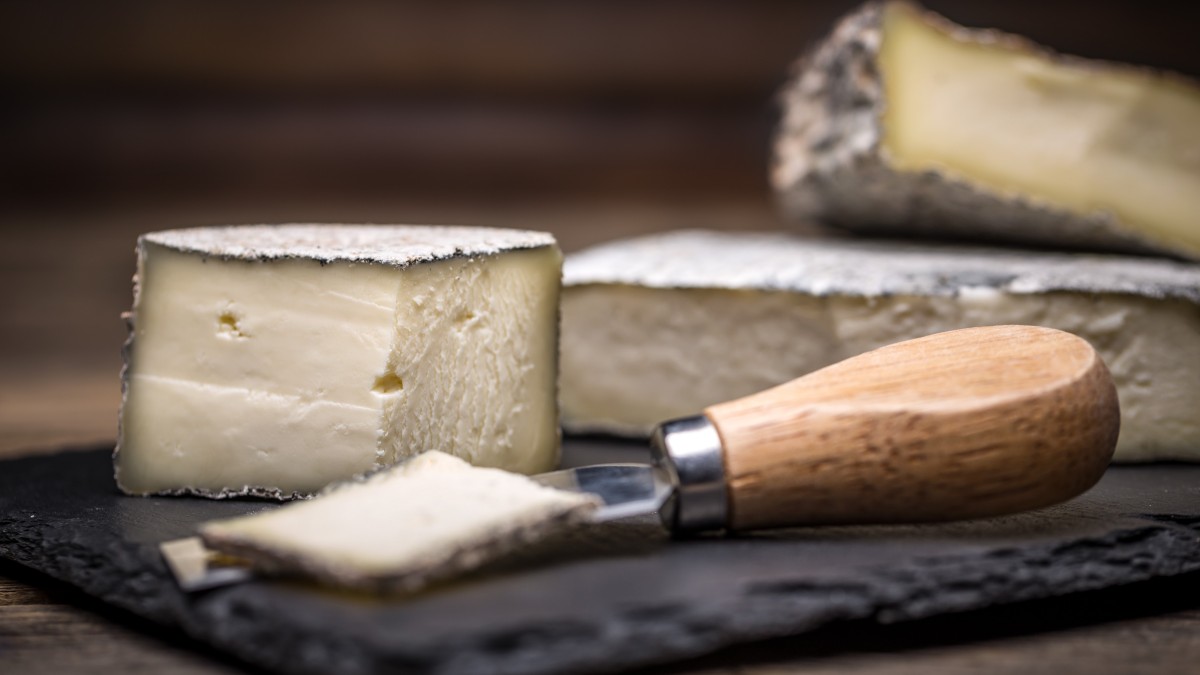 formaggi tipici marchigiani