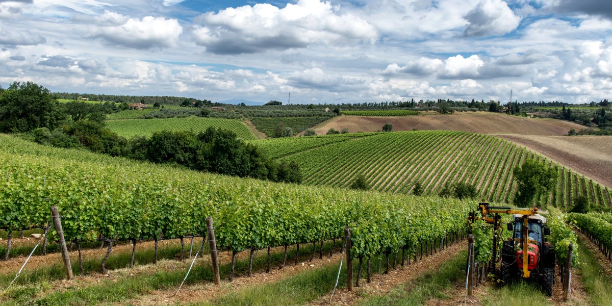 things to do in Radicondoli