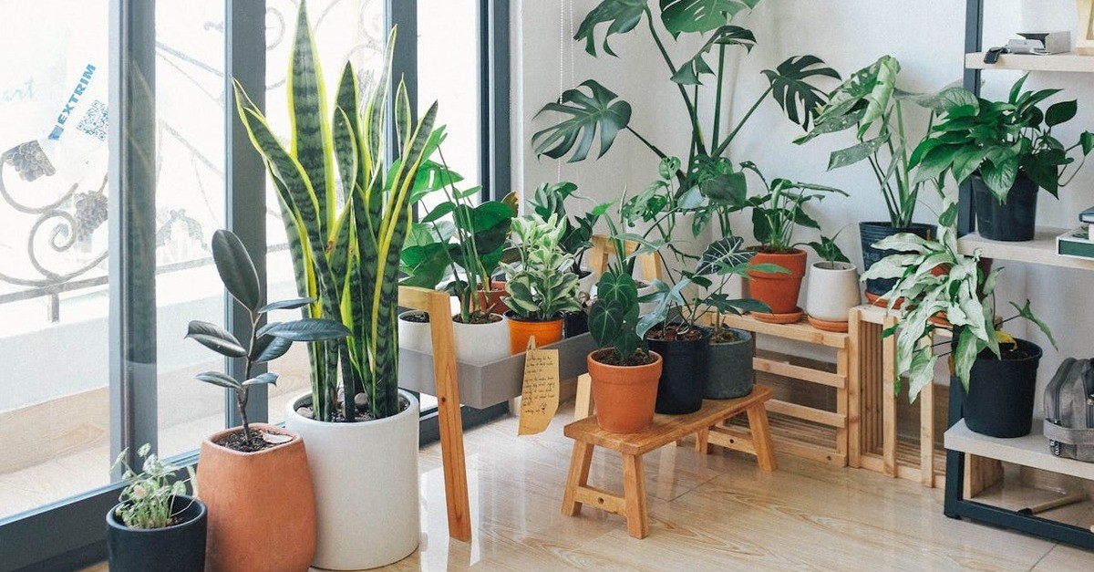 Una serie di diversi vasi in terracotta