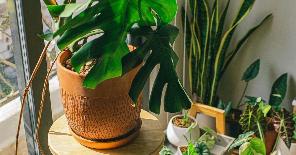 Un vaso in terracotta alto con motivo geometrico