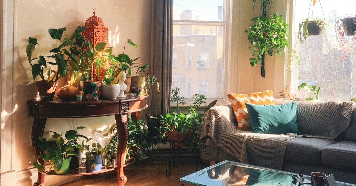 Le piante donano colore, calore e personalitá