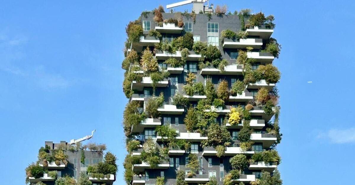 Gli ultimi piani del Bosco Verticale