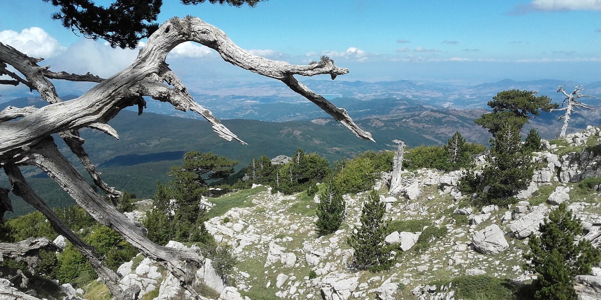 Curiosità sulla Calabria