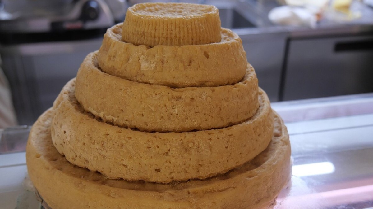 formaggi tipici piemontesi