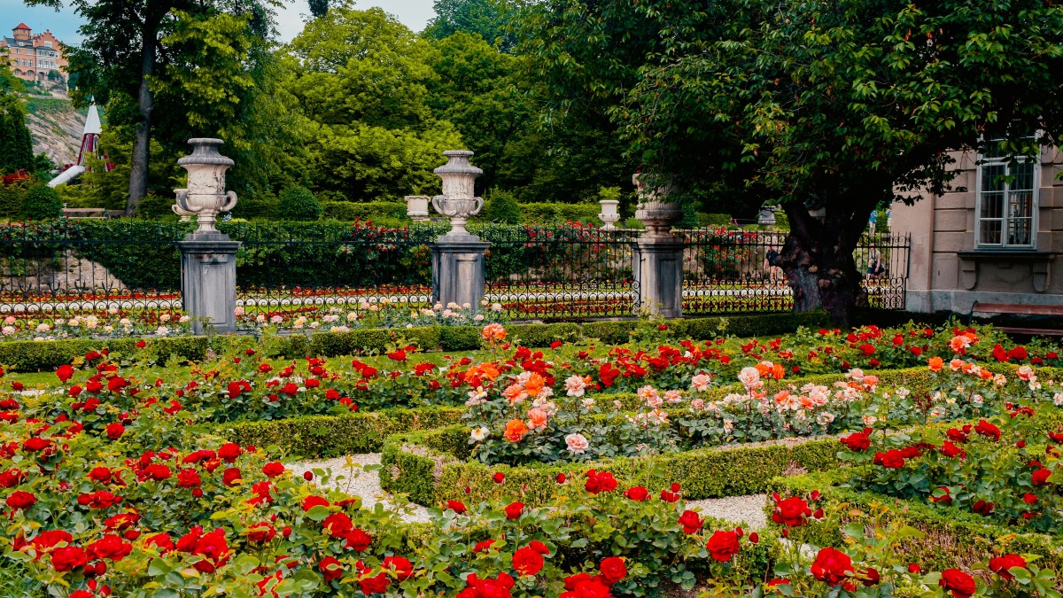 cosa vedere a salisburgo