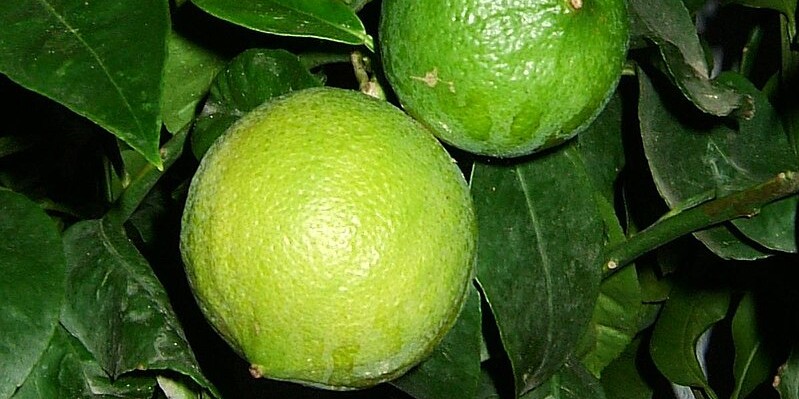 Curiosità sulla Calabria