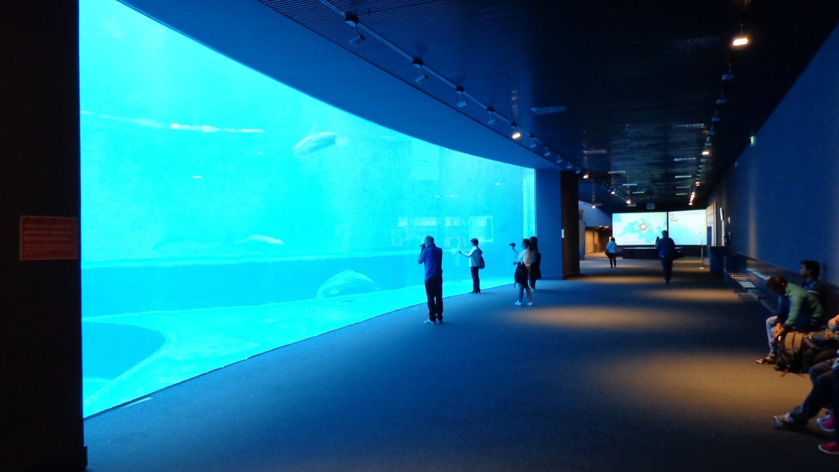 acquario di genova