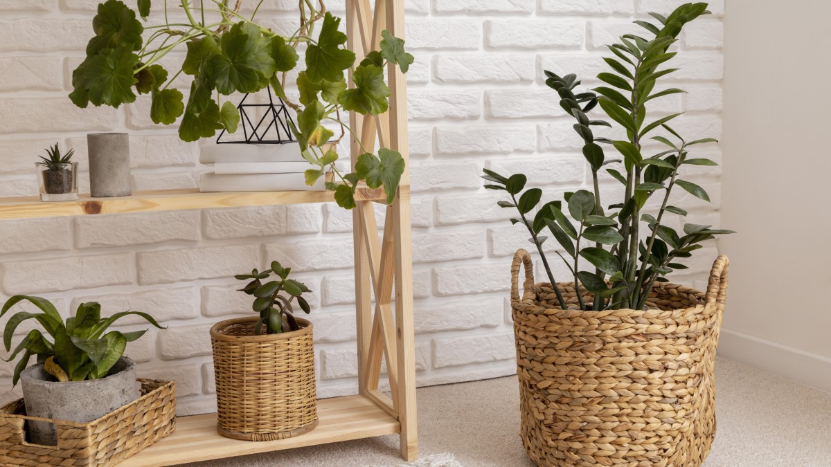 piante vere o finte in casa