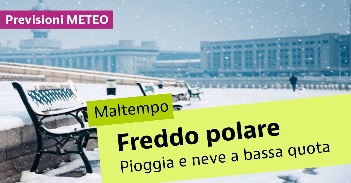 freddo polare