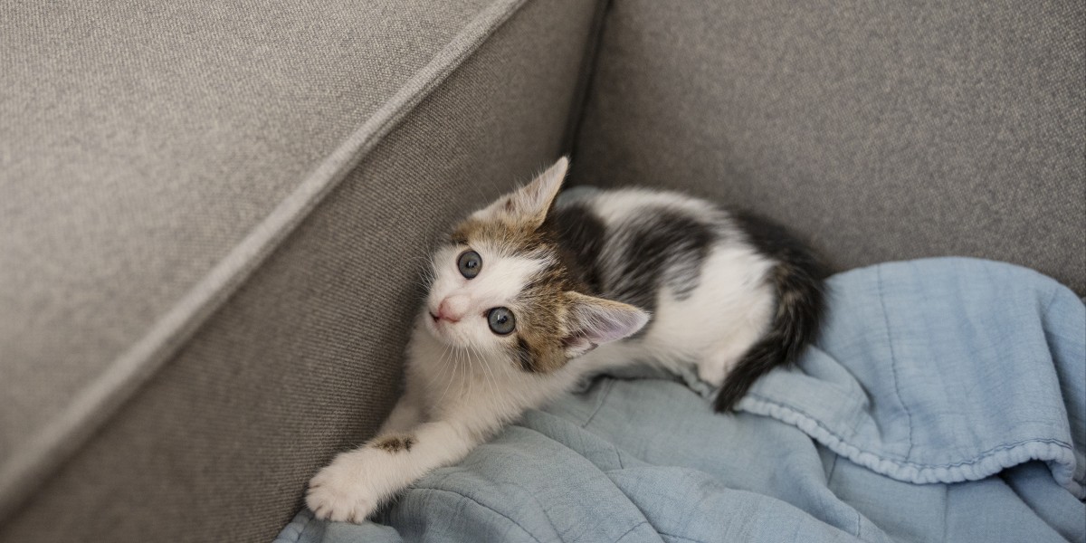 ogni quanto lavare il copridivano