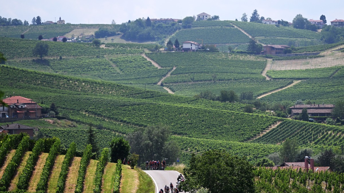 migliori vini piemontesi