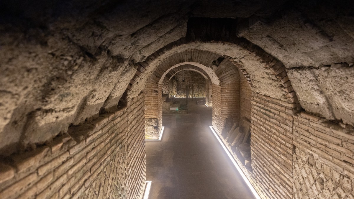 decumani di napoli
