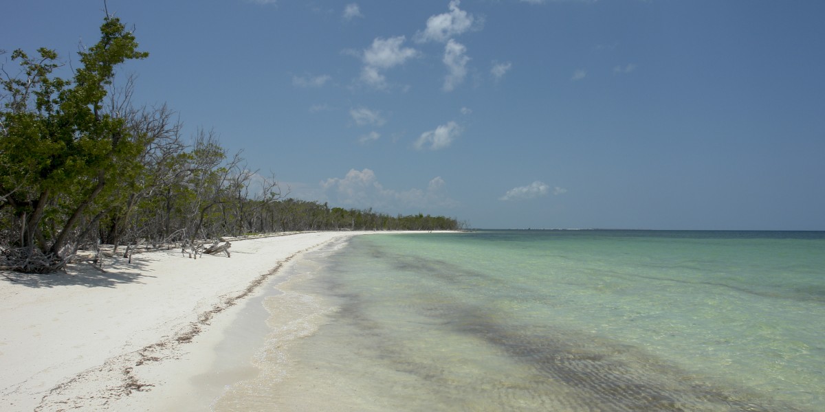 cosa sono le case particular a Cuba 