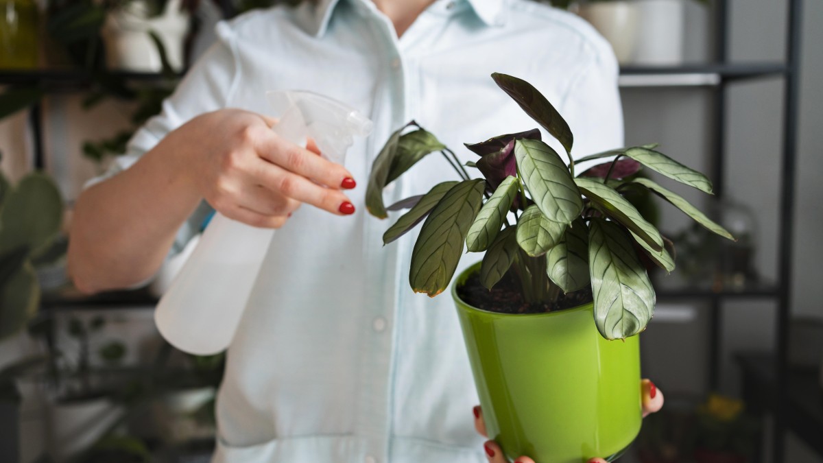 annaffiatura per immersione