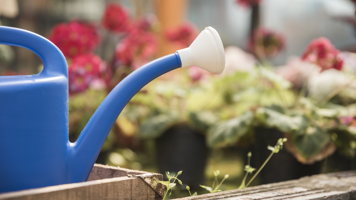 annaffiatura per immersione