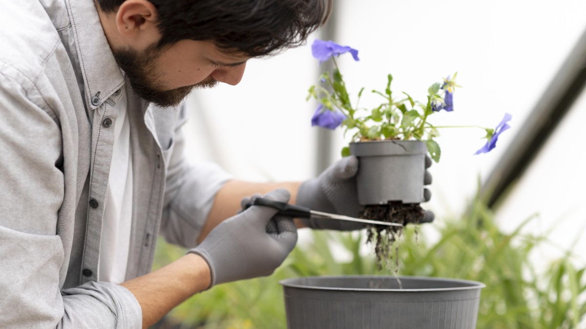 annaffiatura per immersione